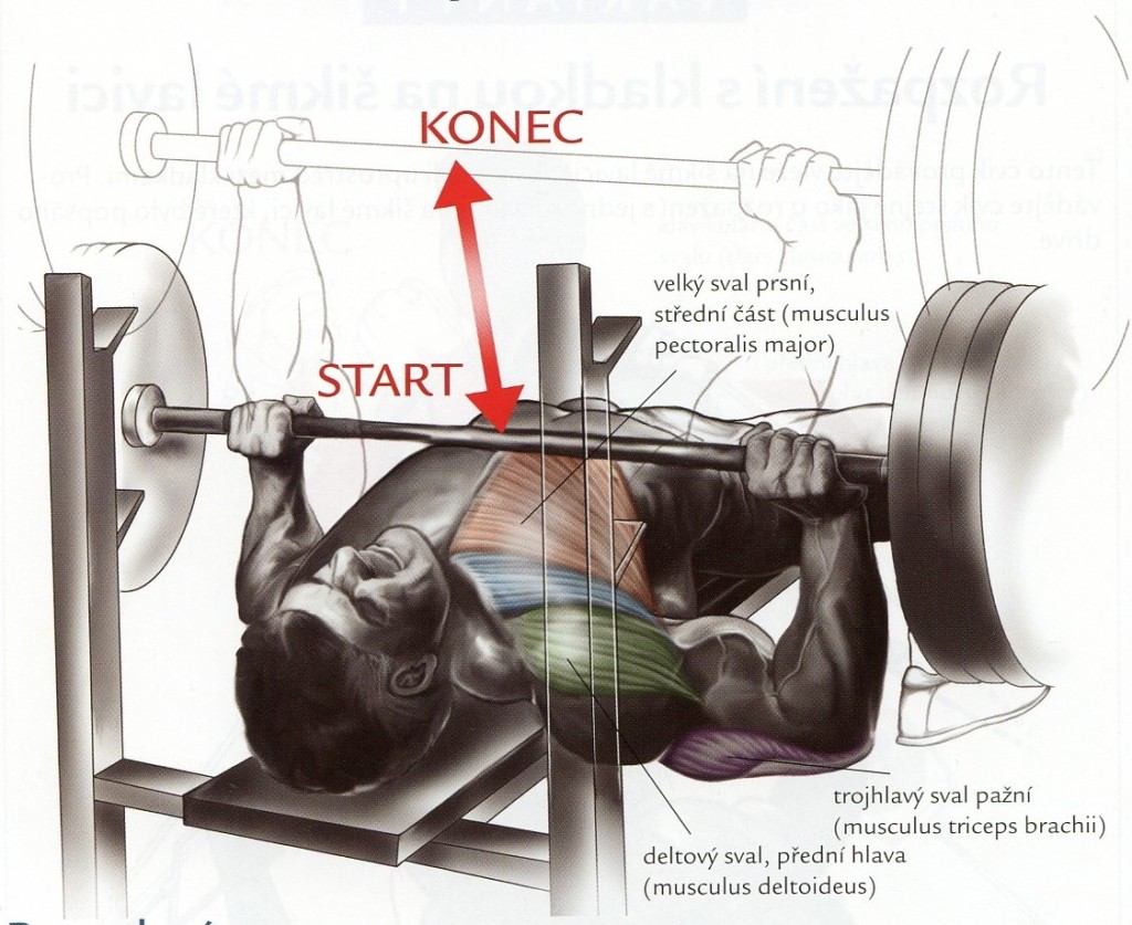 bench
