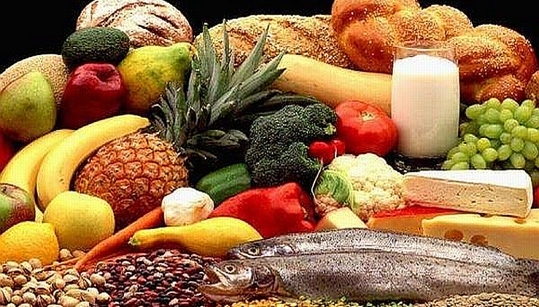 healthy_food_web_0